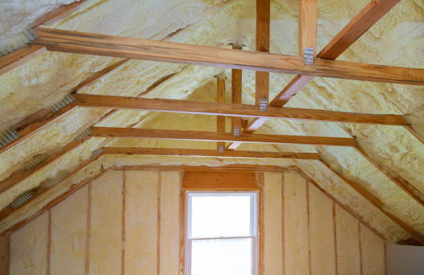 Best Specialized Insulation Services in Morganfield, KY