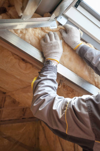 Best Insulation Maintenance and Repair in Morganfield, KY